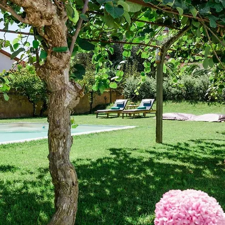 Torres Da Bed & Breakfast Anadia