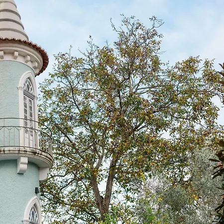 Torres Da Bed & Breakfast Anadia