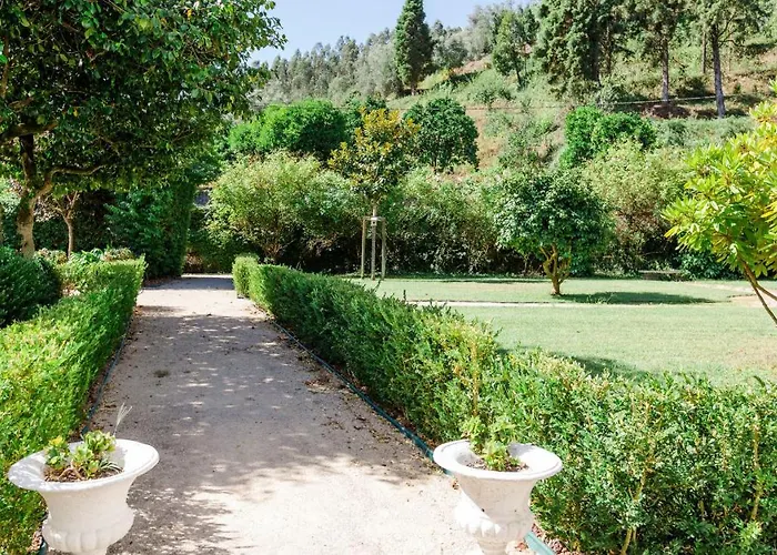 Torres Da 阿纳迪亚